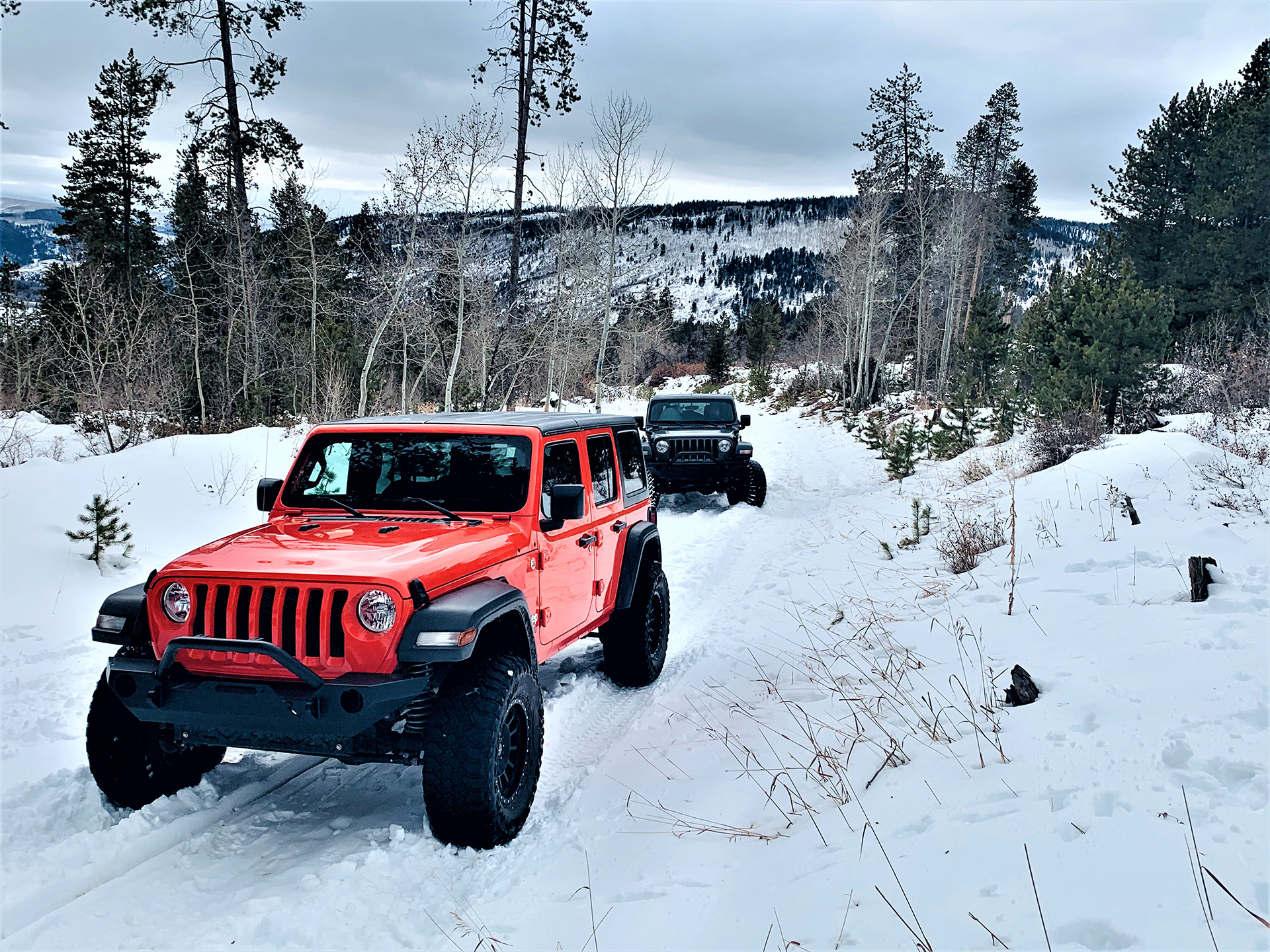 Orange-and-Black-Jeeps-Driving-Through-Snowy-Hillside jeep excursion