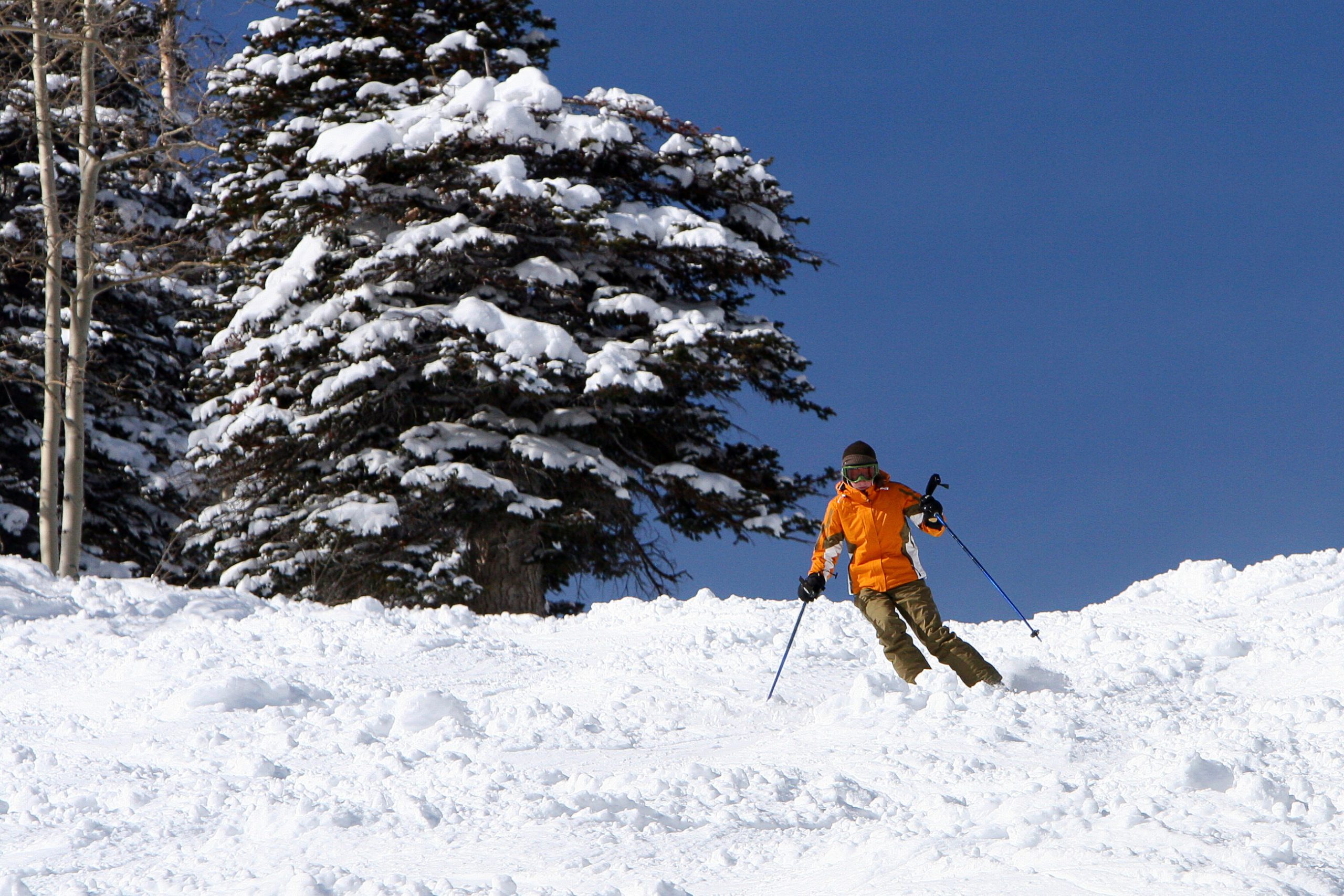 Park City Skier 